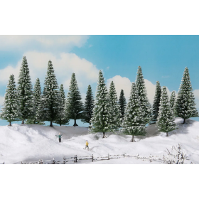 Snowy fir trees  - Noch 24682