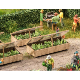 Cold frames with lettuce, 2 pcs - Noch 14025