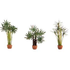 Palms, 3 pcs - Noch 14024