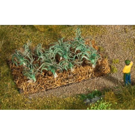 Odlingsbädd med purjolök - Noch 13222