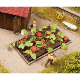 Odlingsbädd med pumpor - Noch 13219 Odlingsbädd med pumpor - Noch 13219
