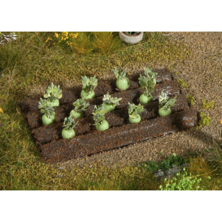 Odlingsbädd med kolrötter - Noch 13220