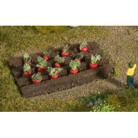 Odlingsbädd med rödbetor - Noch 13221 Odlingsbädd med rödbetor - Noch 13221