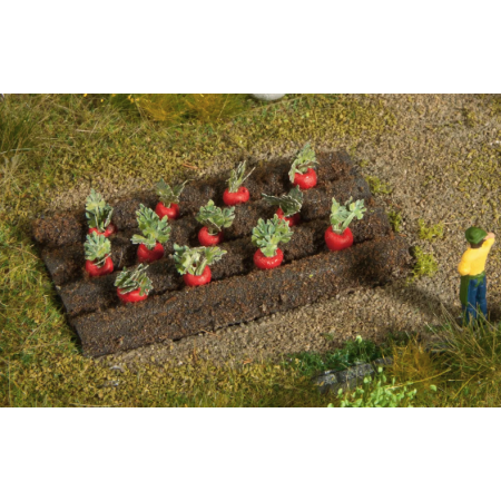 Odlingsbädd med rödbetor - Noch 13221