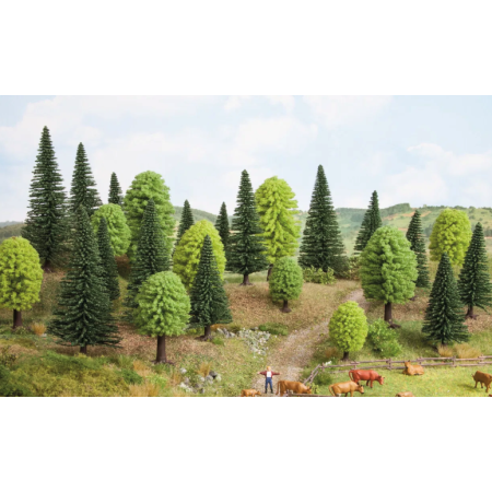 Mixed forest -Noch 26811