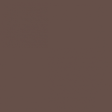 Burnt Umber - Vallejo 70941