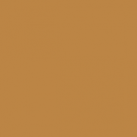 Gold Brown - Vallejo 70877