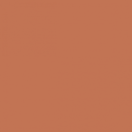 Light Brown - Vallejo 70929