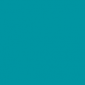Light Turquoise - Vallejo 70840