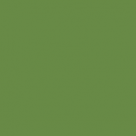 Olivgrön - Vallejo 70967