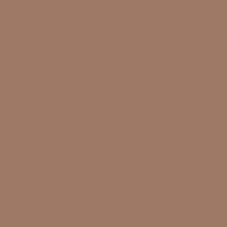 Tan Earth - Vallejo 70874
