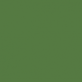 Uniform Green - Vallejo 70922