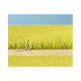 Reed assortment  - Noch 07060