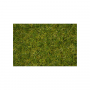 Master grass, Summer meadow, 6 mm  - Noch 07072