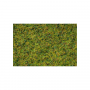 Master Grass, Cow pasture, 6 mm  - Noch 07073