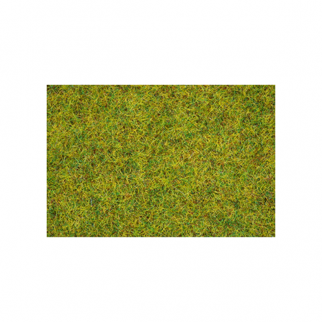 Gräs Sommaräng 2,5 mm 20 g -Noch 08310