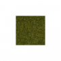 Scatter grass, Meadow, 2,5 mm -Noch 08312