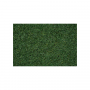 Scatter grass, Marsh Soil, 2,5 mm -Noch 08320