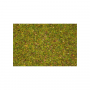 Scatter grass, Flower meadow, 2,5 mm -Noch 08330