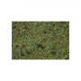 Scatter grass, Forest floor, 2,5 mm -Noch 08350